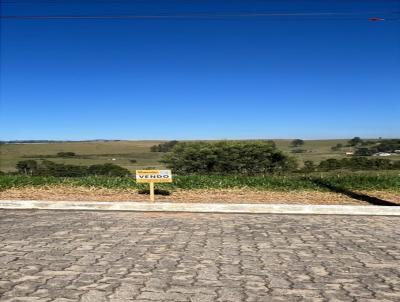 Terreno em Condom�nio para Venda, em Ca�apava, bairro Terras de Santa Mariana